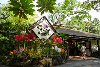 Singapore: National Orchid Garden Admission
