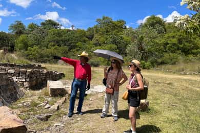 Oaxaca de Juárez: Tour de medio día por Monte Albán