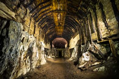 Private Tour zum Projekt Riese
