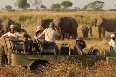 Victoria Falls Safari with Lunch and Sunset Cruise