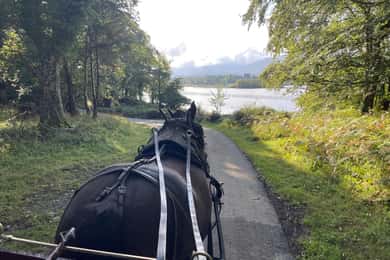 Excursión en coche de caballos por el Parque Nacional de Killarney