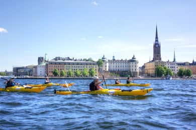 Stockholm: Geführte Kajak-Stadtrundfahrt & optionales Mittsommeressen