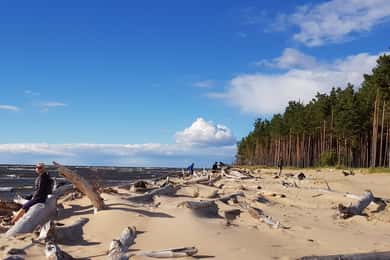 Depuis Riga : quatre écosystèmes naturels en une seule randonnée