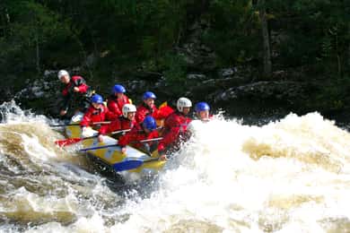 Fort William : Rafting en eaux vives sur la rivière Garry