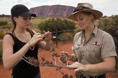 Uluru: Small Group Guided Tour with Sunset Refreshments
