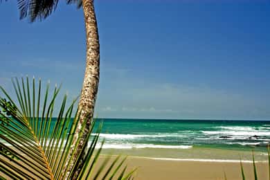 Port of Spain: Coastal Tour of Trinidad