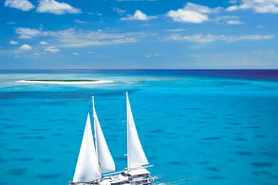 Desde Cairns: Navega a Cayo Michaelmas con actividades acuáticas