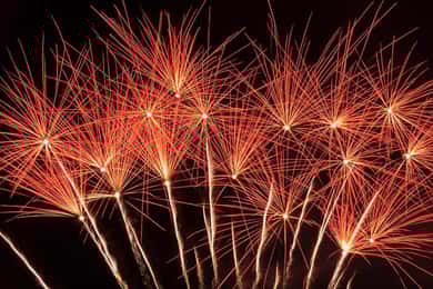 Lisbon: New Year's Eve Tagus River Cruise with Open Bar
