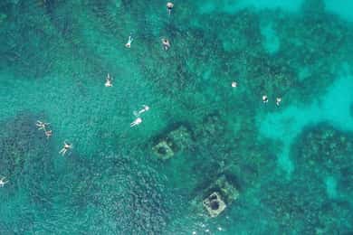 Bermuda: Shipwreck Snorkel