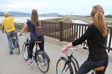 Cagliari: Bike Tour in the Flamingo Oasis