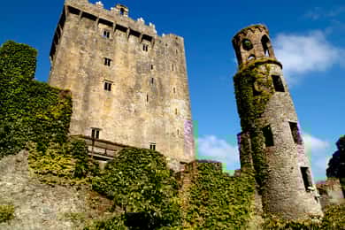 Tour de día completo del Castillo de Blarney desde Dublín