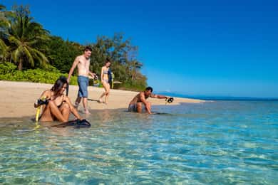 Port Douglas: Low Isles Glass Bottom Boat & Snorkeling Tour