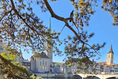 Zürich: Privat kostymert omvisning med lokal ekspertguide