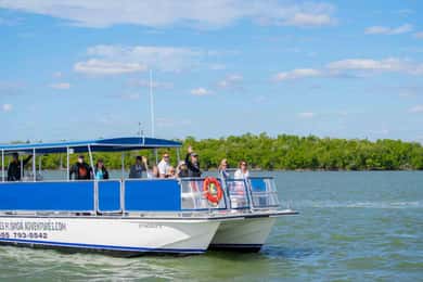 Naples: 10,000 Islands Boat and Wildlife Tour