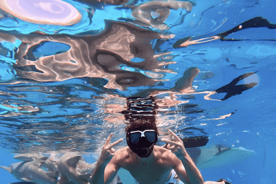 Maafushi: Ammenhaie, Stachelrochen, Sandbank und Delfine