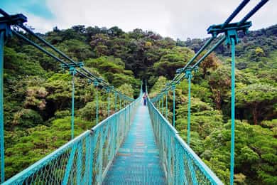 Desde San José: Excursión de un día a los Puentes Colgantes de Monteverde