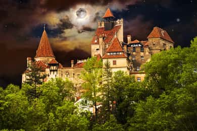 Guided Castle Tour
