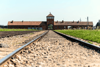 Krakow: Auschwitz-Birkenau Guided Tour or Self-Guided Tour