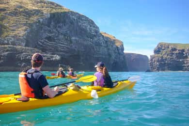 Akaroa: 4WD Safari ja opastettu merikajakki kokemus