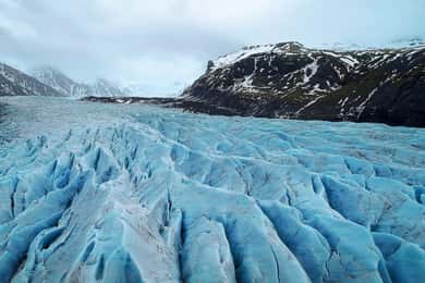 From Anchorage: Denali to the Kenai Fjords 6-day Adventure