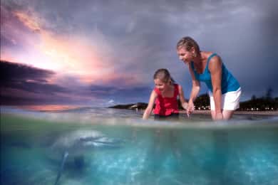 Moreton Island: Snorklingstur i Tangalooma och matning av delfiner