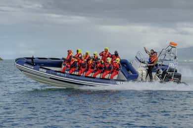 Reykjavik: Premium-Walbeobachtung mit flexiblem Ticket