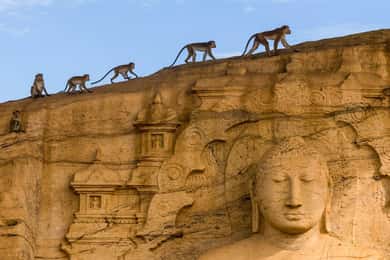 Exclusivo: Fortaleza de Sigiriya e visita guiada a Polonnaruwa