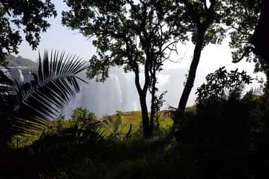 Cataratas Victoria: Tour a pie guiado