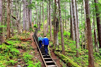 Guided Hike | TONGASS NATIONAL FOREST