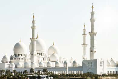 Abu Dhabi Full-Day Tour from Dubai - Spanish-Speaking Guide