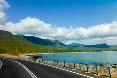 2-Day Waterfall and Daintree Tour