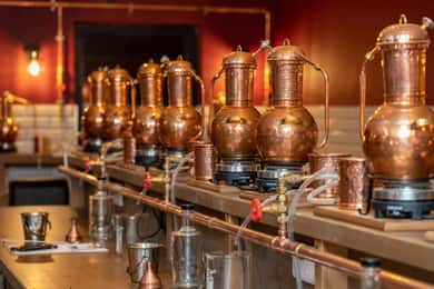 Galway: Gin-Meisterkurs