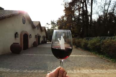 Santiago i Spanien: Rundtur till Concha y Toro och Undurraga vingårdar