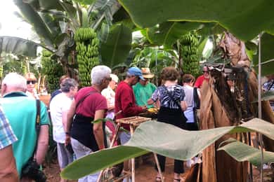 Teneriffa: Aromen und Weine von Teneriffa Gastronomische Tour