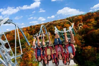 Busch Gardens Ticket & Water Country Option