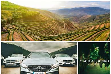 Porto: Private Douro Valley Day with Lunch