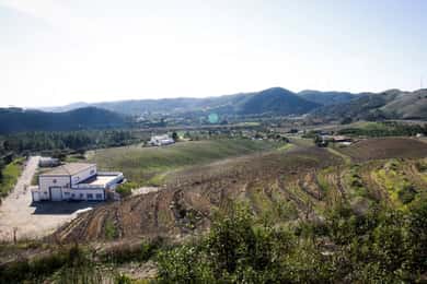 Algarve wine tour and mountain top trip with lunch or dinner