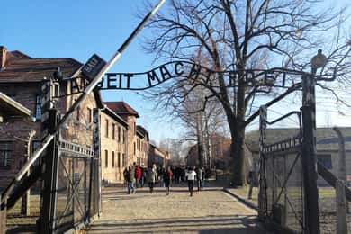 De Varsóvia: Visita Auschwitz-Birkenau de carro