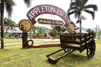 Joy Spence Appleton Estate Rum Tour