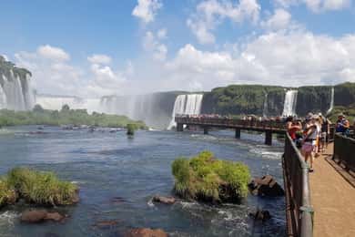 From Foz do Iguaçu: Brazilian Falls and Bird Park Tour