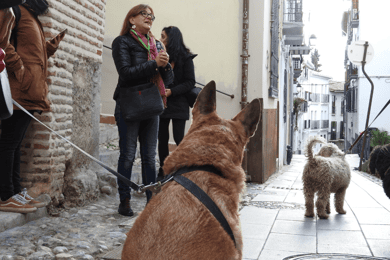 Granada: Guidad tur i Realejo med husdjur