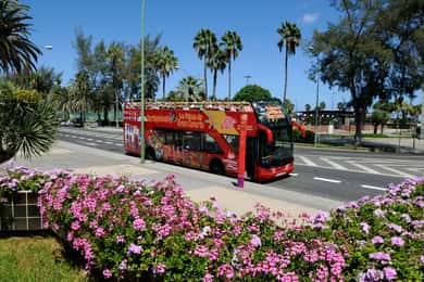 Las Palmas: City Sightseeing Hop-On Hop-Off Bus Tour