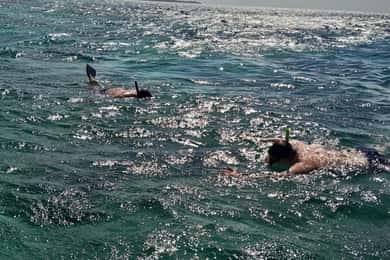 Negril: Excursão com piquenique na Ilha Booby Cay e mergulho com snorkel