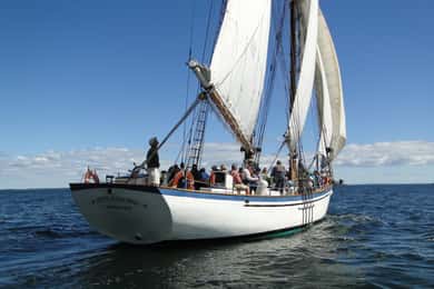 Camden: Historic Schooner Day Sailing Trip
