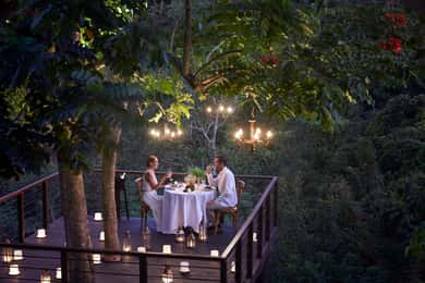 Ubud: Jantar romântico no terraço de uma árvore da floresta
