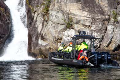 Eidfjord: 1 times tur på fjorden med RIB