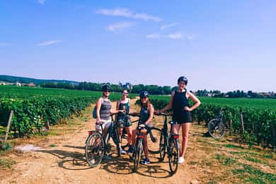 Dijon: tour de medio día guiado en bicicleta para gourmets
