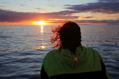 Reykjavík: Midnight Sun Whale Watching Cruise