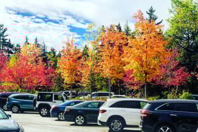 Boston: Fall Foliage Tour