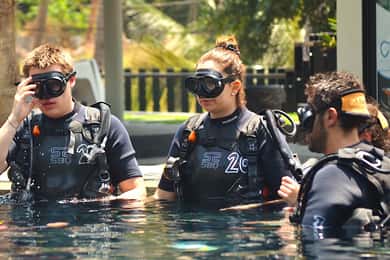 Ko Tao: Open Water Scuba Diving 4-dages kursus